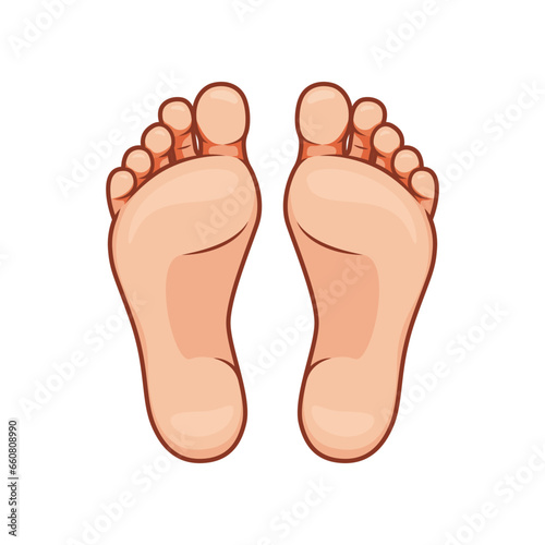 Foot soles illustration. Bare feet vector isolated on white background. Botom foot vector