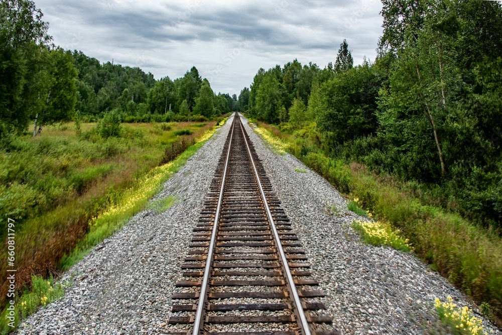 Scenic view of a railroad in a forest of green fir trees in Alaska