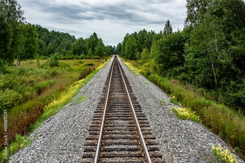 Scenic view of a railroad in a forest of green fir trees in Alaska