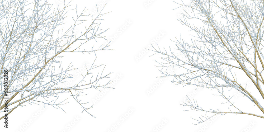 Fototapeta premium branches of a tree in winter