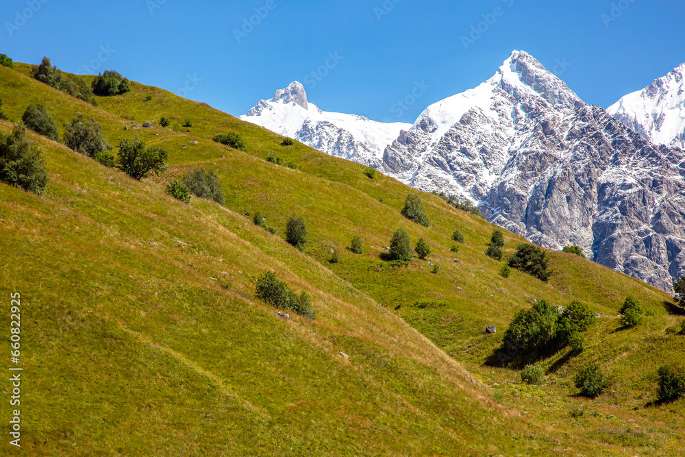 landscape of green grass and snowy mountains. landscape in nature landscape of green grass and snowy mountains. landscape in nature
