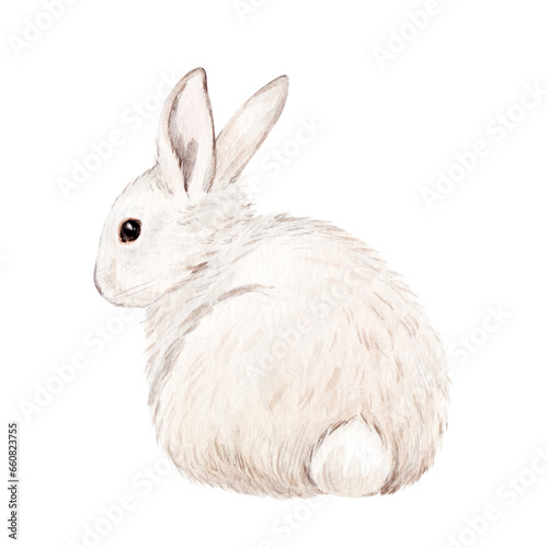Beautiful stock illustration with hand drawn watercolor wild white rabbit animal.
