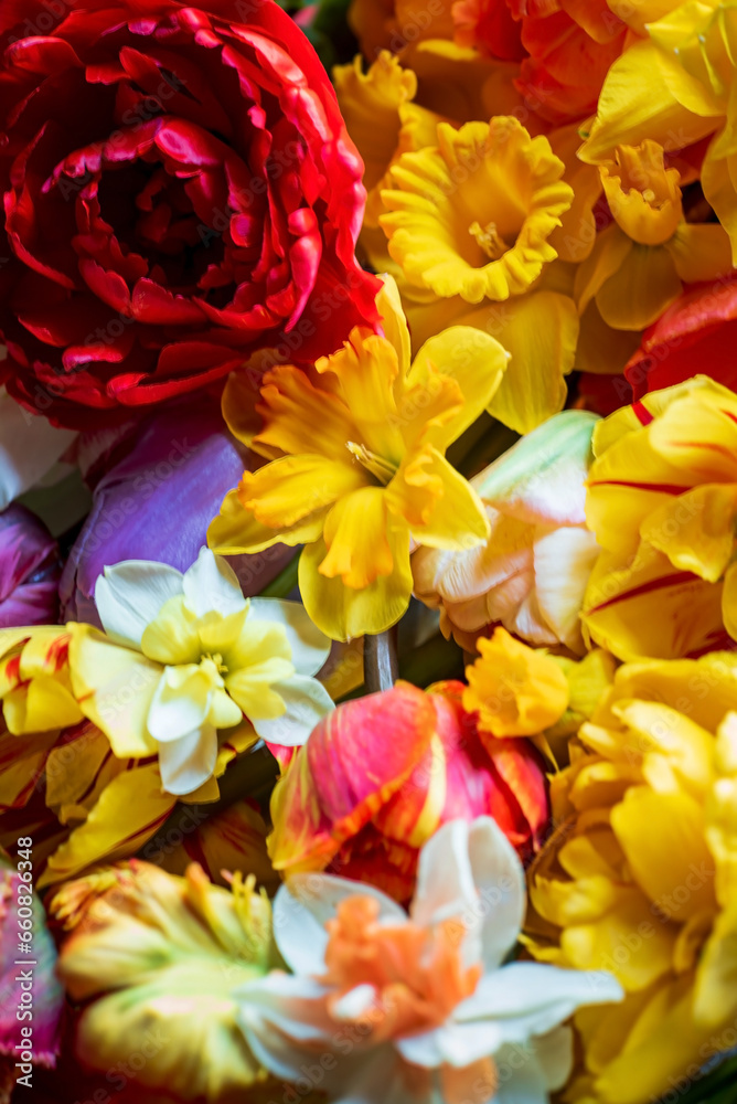 spring flowers on the dark background spring flowers on the dark background