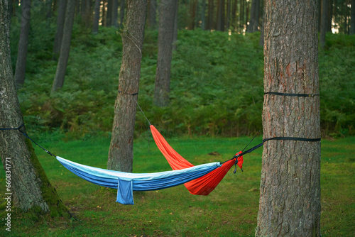 Hammocks in the forest. Outdoor rest concept.