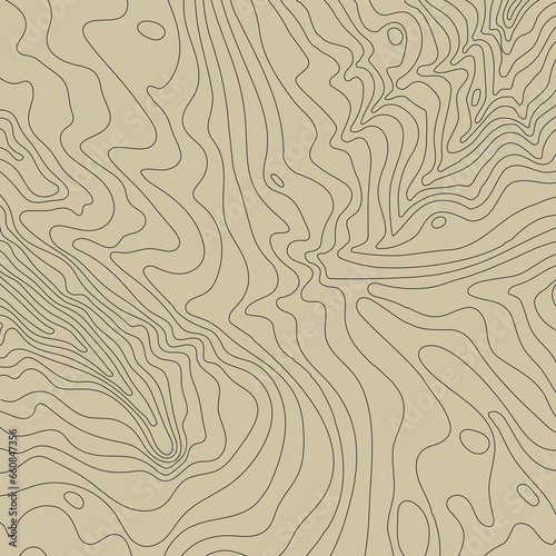 Topographic map background concept with space for your copy.Vector abstract illustration.Geography concept.