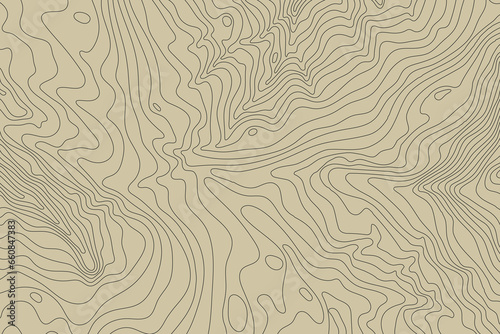 Topographic map background concept with space for your copy.Vector abstract illustration.Geography concept.