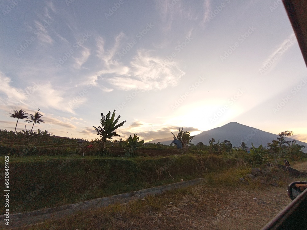 Fototapeta premium road in the desert