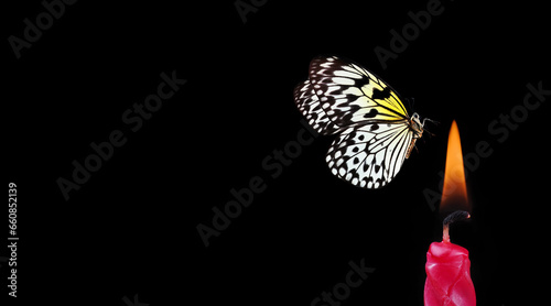 Photography butterfly flying into the light of a candle