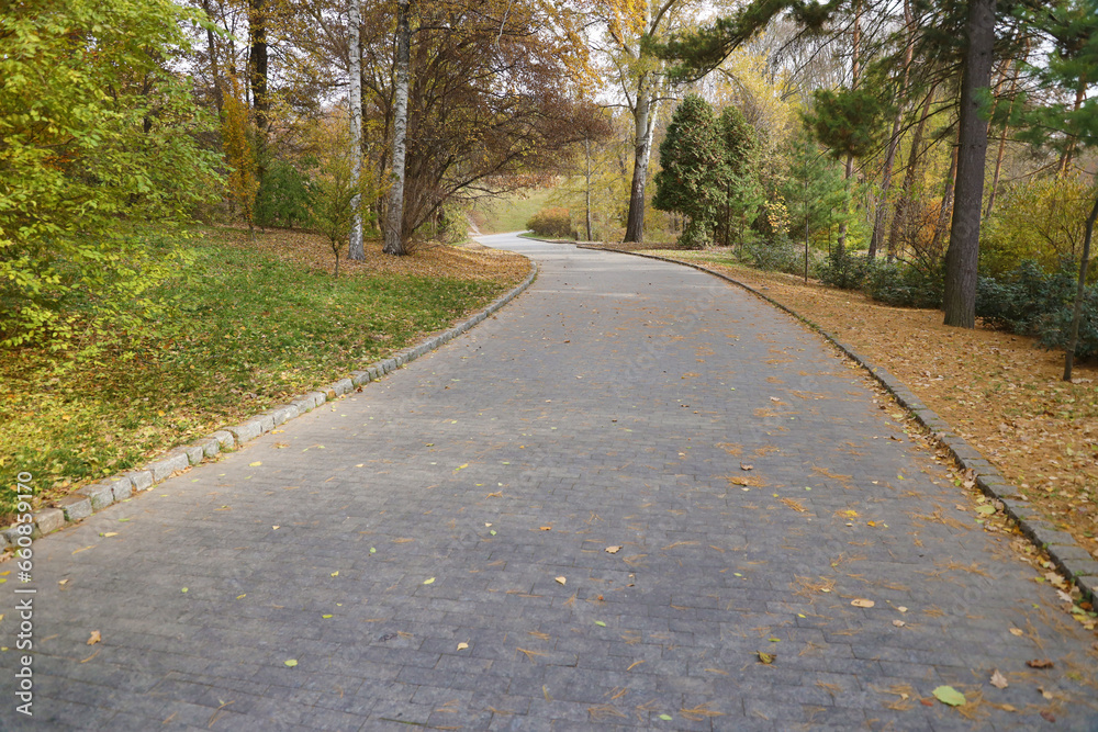 Beautiful Nature Autumn landscape. Scenery view on autumn city park with golden yellow foliage in cloudy day