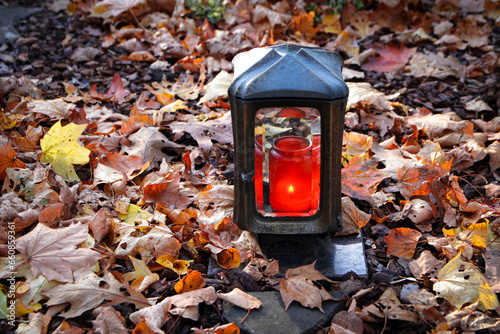 Wallpaper Mural grablaterne im herbstlaub Torontodigital.ca