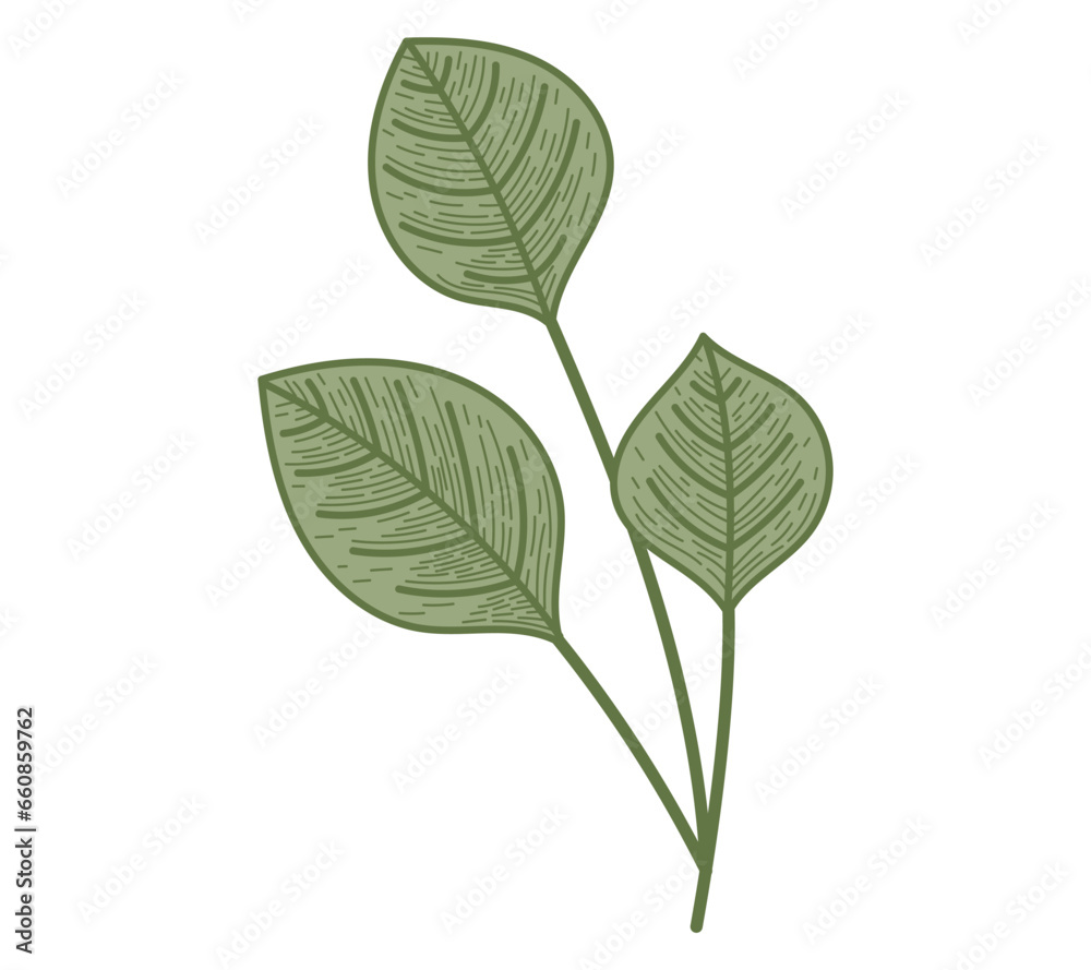 Decorative vector flat twig with leaves. Natural isolated plant design element, sketch style. Decorative vector flat twig with leaves. Natural isolated plant design element, sketch style.