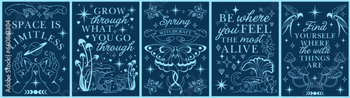 Mystic celestial aesthetic vector tee prints. Bohemian crescent moon, mushrooms, and floral arrangements for posters Inspirational affirmations, slogans. Alchemy witchcraft.