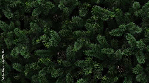 Foto green christmas tree branches background