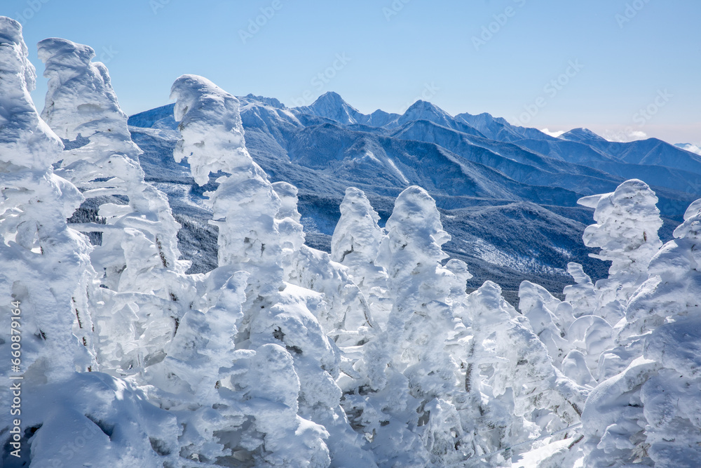 快晴の北横山頂から望む樹氷と八ヶ岳の山並み1 快晴の北横山頂から望む樹氷と八ヶ岳の山並み1