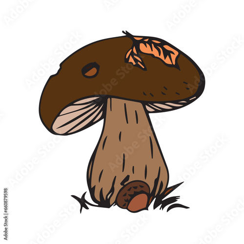 cartoon mushroom boletus isolated on white background