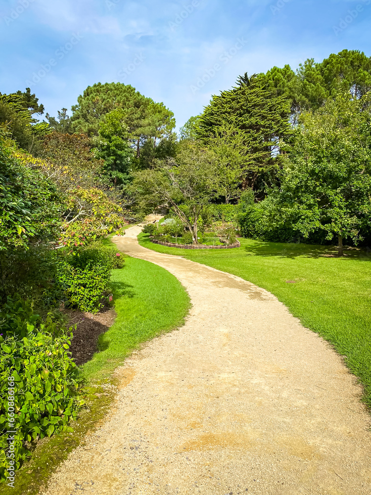 Dirt path and green trees in the botanical garden in Saint-Jean-de-Luz, France