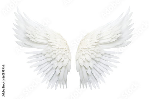 Isolated angel wings