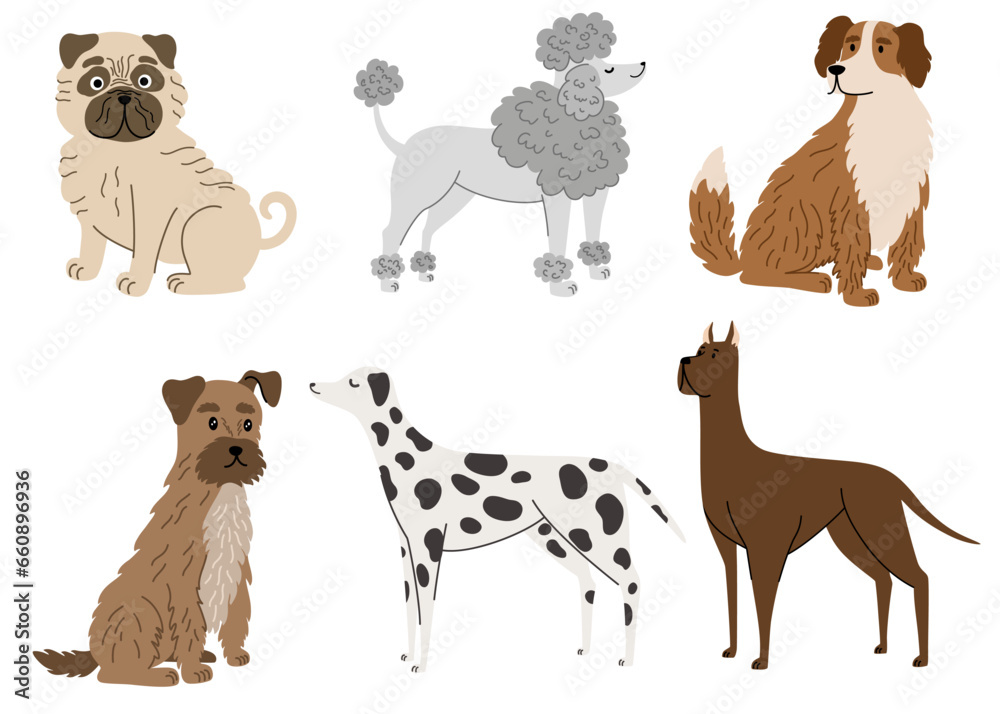 Dogs collection. Cartoon dogs of different breeds. Pet animal, cute puppy. Pug, poodle, Great Dane, Dalmatian. Vector hand draw illustration.