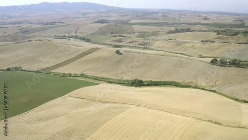 Grain fields with wheat ready to harvest aerial view