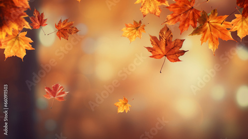 Autumn maple leaves natural background