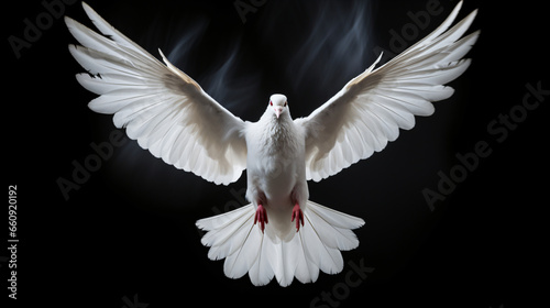 Flying white dove © Arima