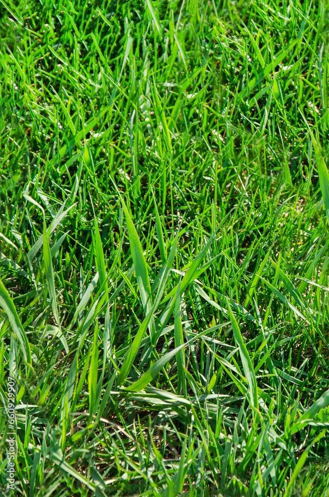 Green grass background. Lawn, football field, green grass artificial turf, texture, top view Green grass background. Lawn, football field, green grass artificial turf, texture, top view