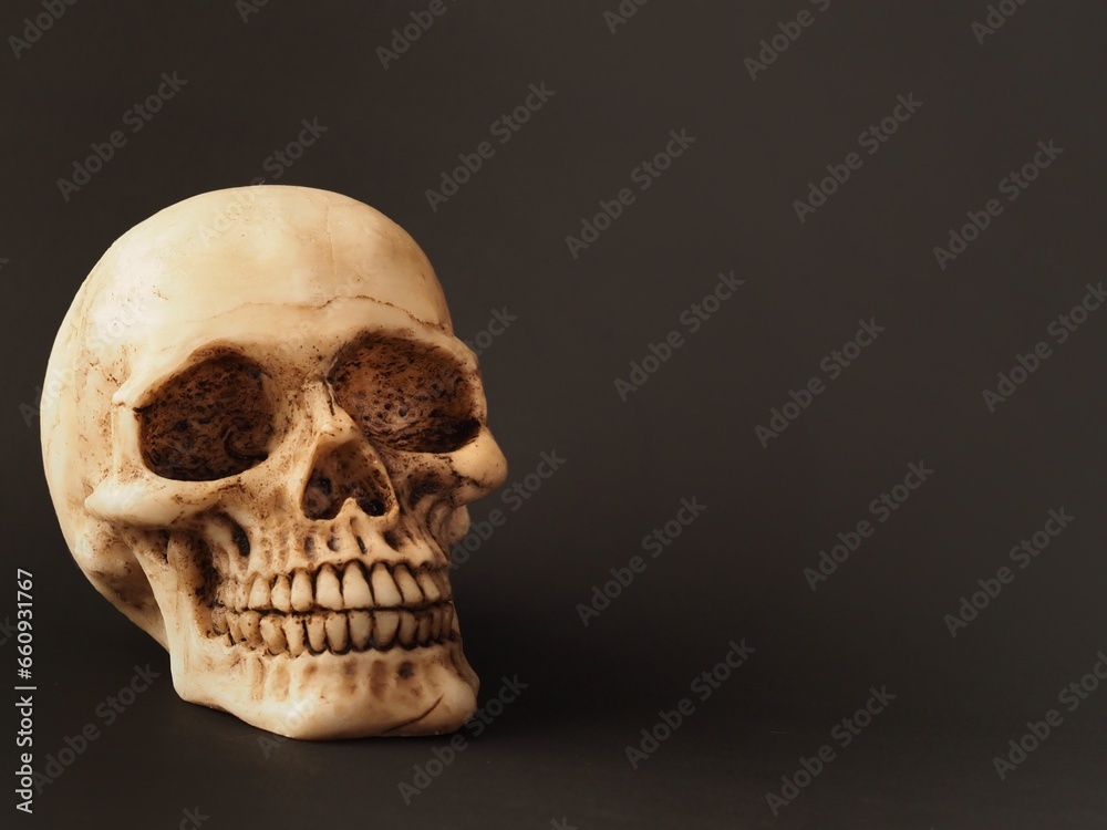 Obraz premium Human skull isolated on a dark background 