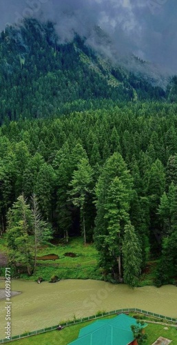 Pahalgam's Betab Valley: A Serene Haven Amongst Cloudy Green Pine Trees and Forested Mountains photo