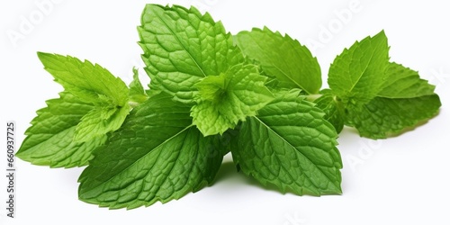 Mint leaf. Fresh mint on white background. Mint leaves isolated. Full depth of field. : Generative AI photo