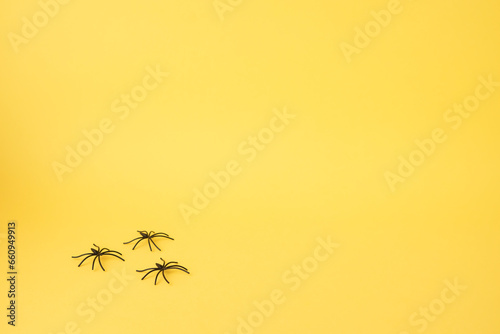 Yellow background with spiders at the bottom as if they were walking. copy space. Halloween © Anna