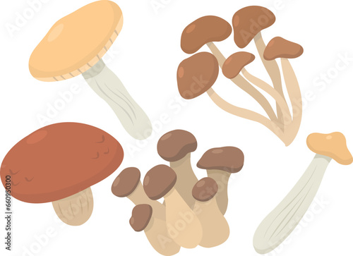 Mushrooms vector set. Fungus set. Autumn veggies