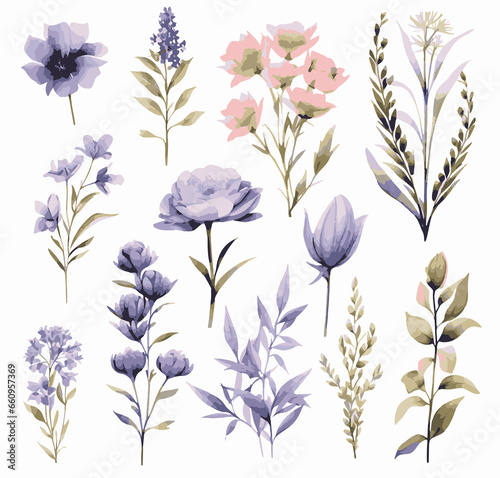 a collection of soft watercolor flowers isolated white background © katobonsai