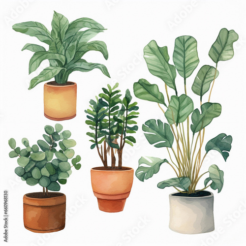 Set of house plants illustrations cartoon