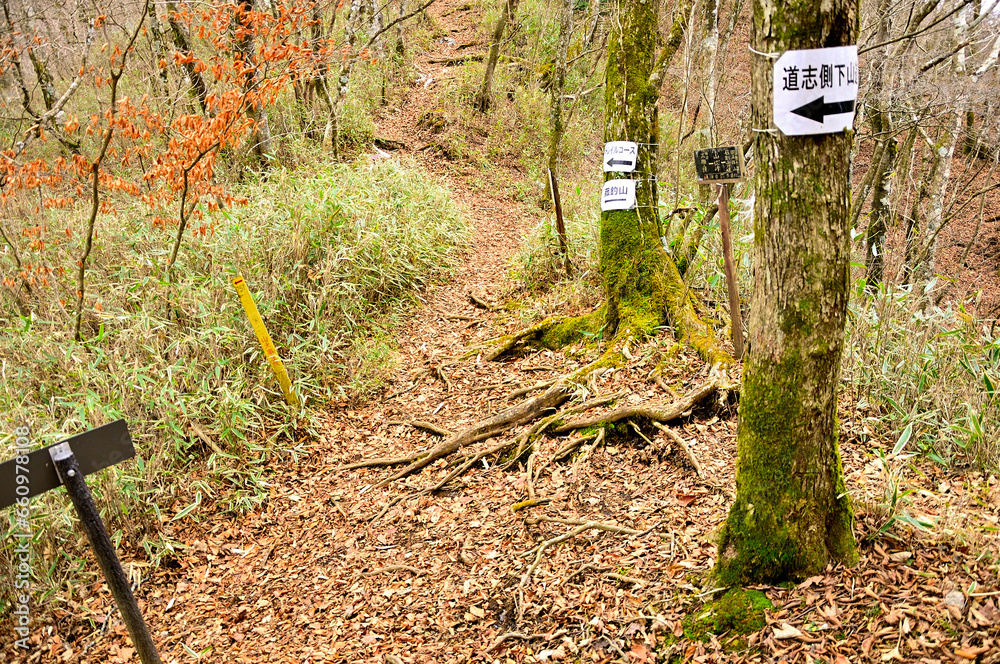 Fototapeta premium 丹沢山地と道志山塊を結ぶ山伏峠 