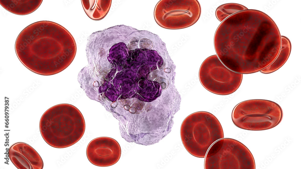 Fototapeta premium A macrophage cell, 3D illustration