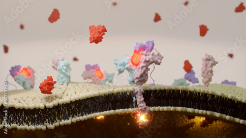 3D illustration of interleukin-2 (IL2) receptor binding on T cell surface.  photo
