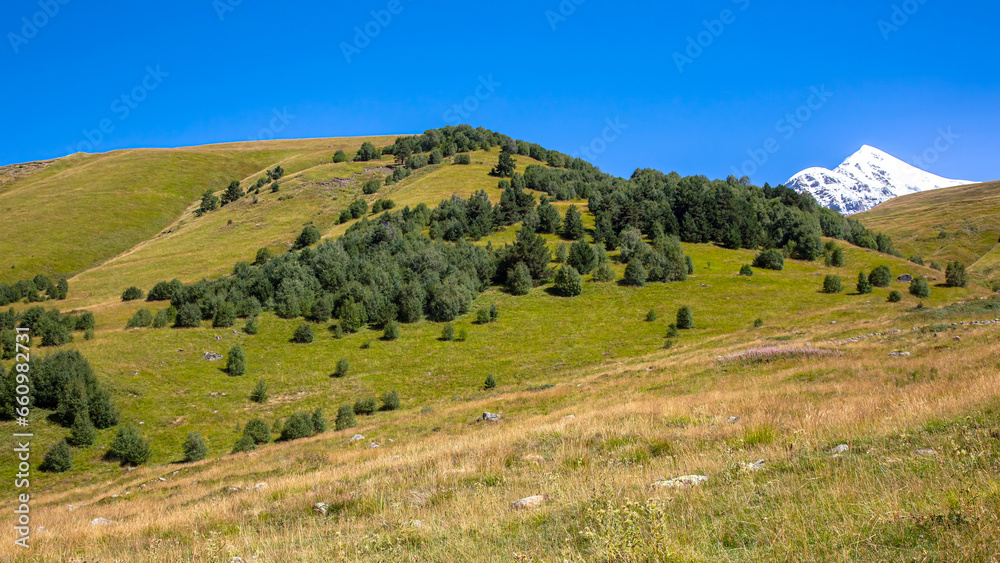 Fototapeta premium landscape of green grass and snowy mountains. landscape in nature