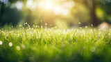 banner background, grass from the bottom angle, bright bokeh behind 