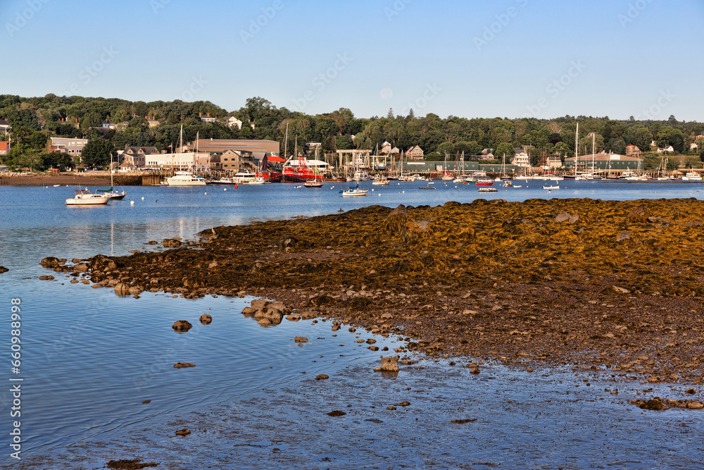 Belfast Maine harbor at low tide in early morning light.