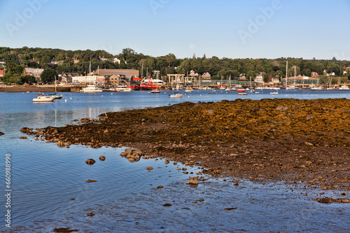 Belfast Maine harbor at low tide in early morning light.