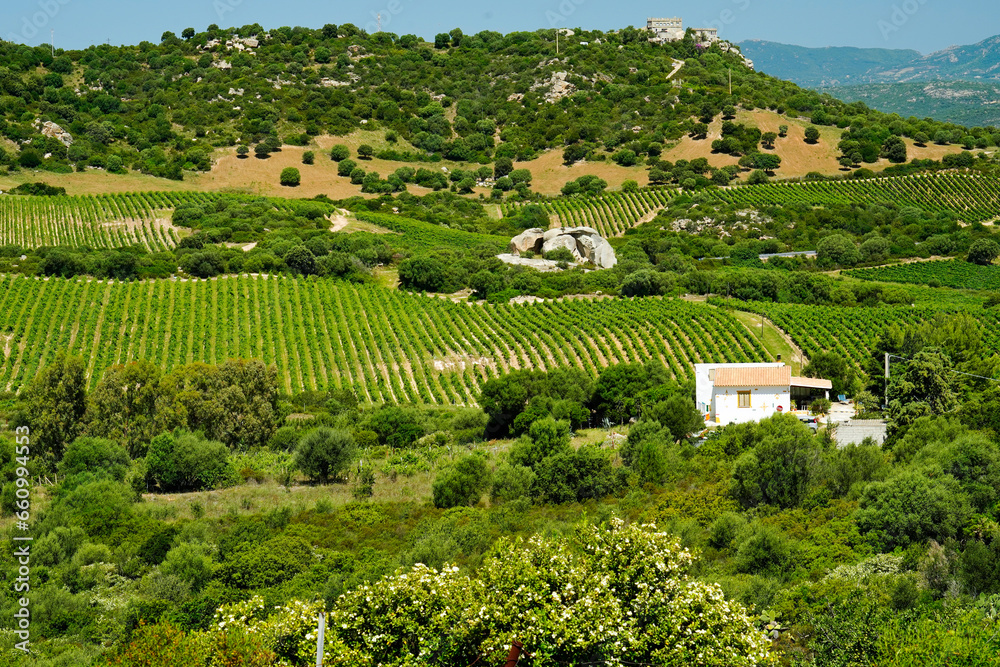 Tipico panorama dell'entroterra sardo. Sardegna, Italia