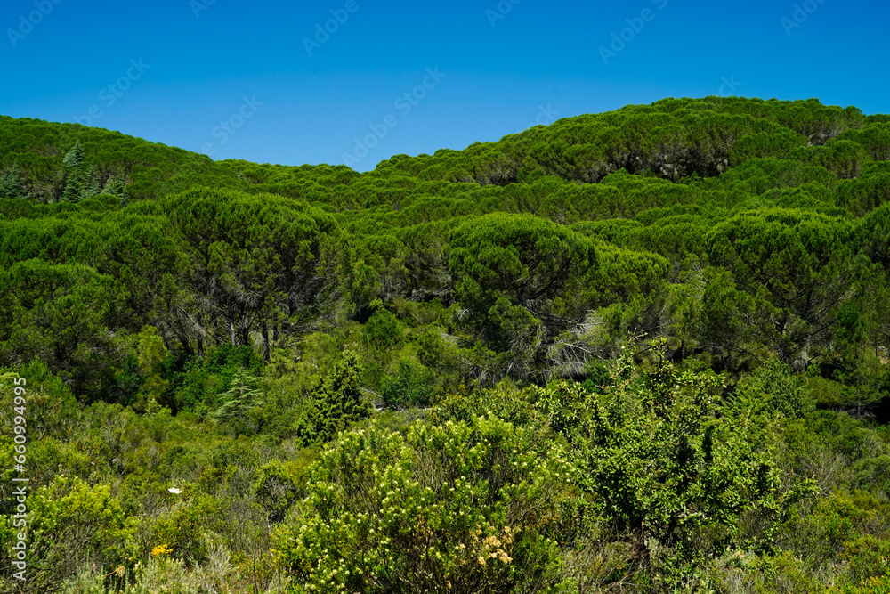 Tipico panorama dell'entroterra sardo. Sardegna, Italia