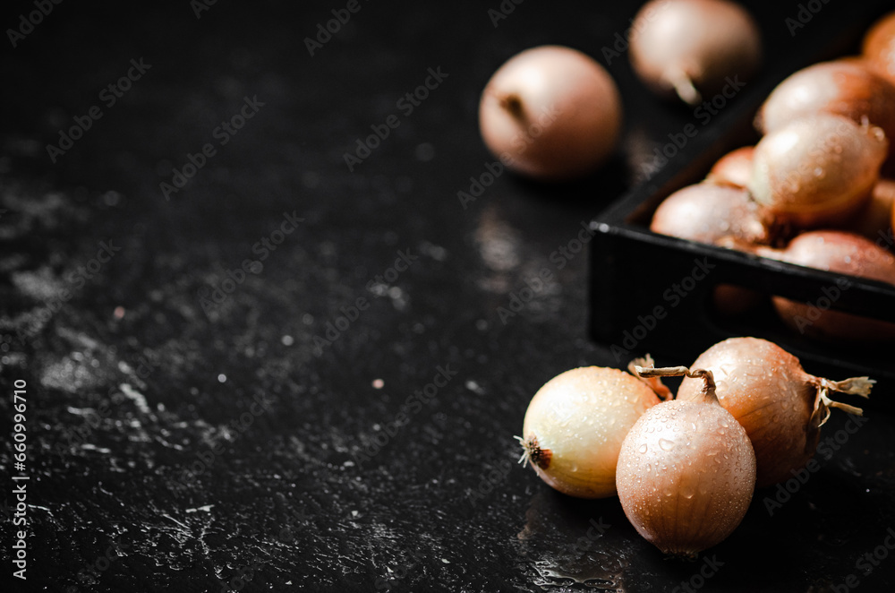 Obraz premium Fresh onions . On table