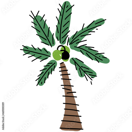 coconut tree