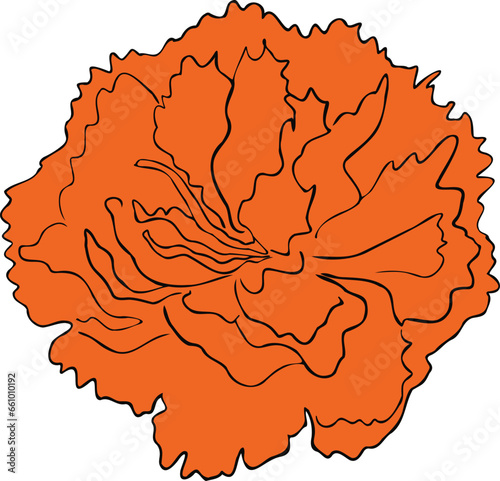 Marigold orange flower Vector illustration Traditional for day of the dead flower