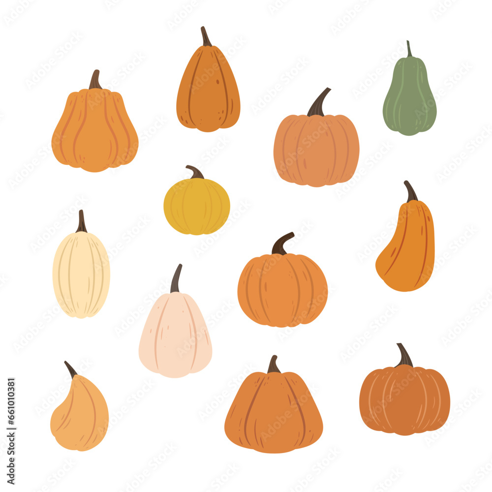 a set of various shaped pumpkins and chayote with ribbed skin for autumn decorative design, social media, invitation, harvest