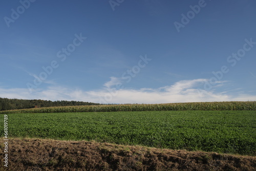 large field with blue sky and clouds for agriculture