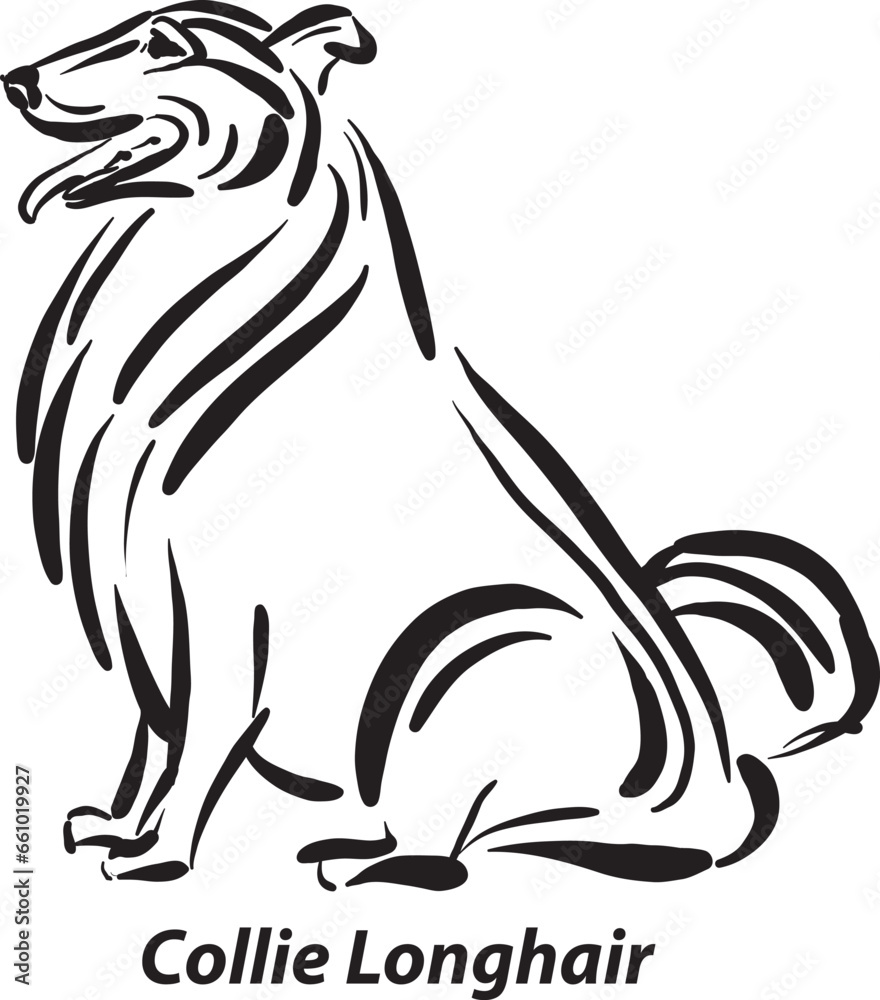 Black And White Dogs Collie Longhair Breed Design Line Art Most Popular black-and-white-dogs-collie-longhair-breed-design-line-art-most-popular