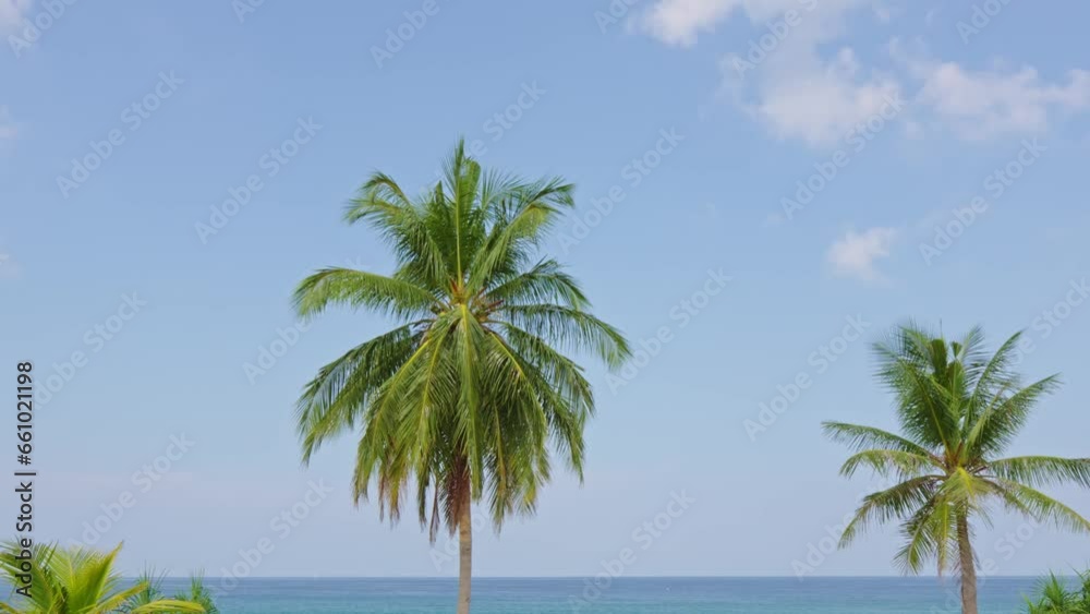 Sunny sky and Palm trees in summer day blue sky background Sunny sky and Palm trees in summer day blue sky background