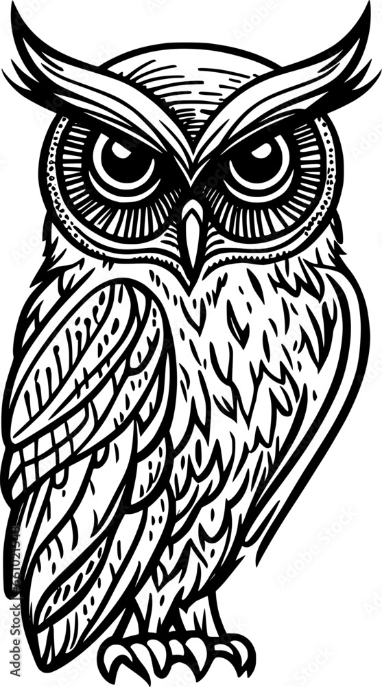 owl cartoon